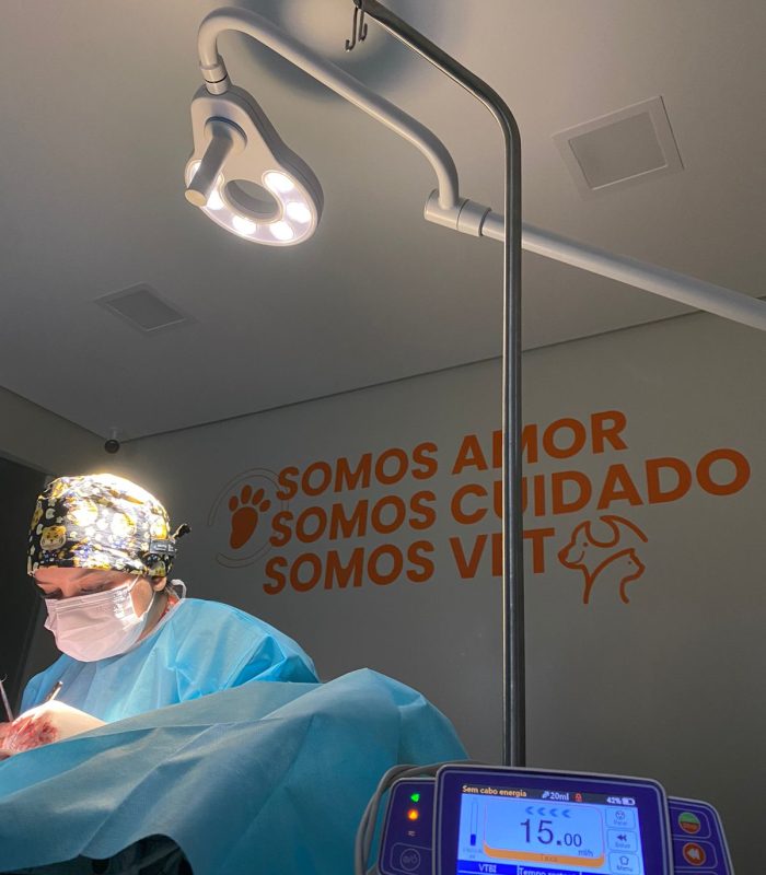 90febd4a-1384-4d29-a05f-756cc38e2bdd